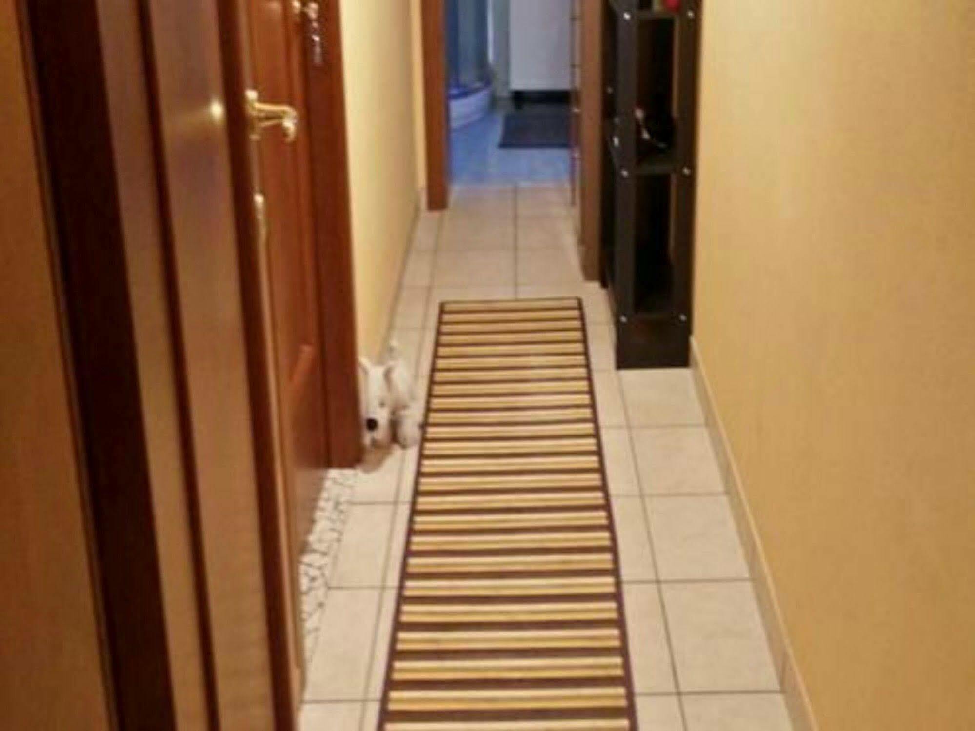 Bed and Breakfast Stazione Centrale Bologna Exterior foto